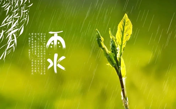 雨水節(jié)氣的含義是什么,雨水節(jié)氣的特點(diǎn)和風(fēng)俗簡(jiǎn)介