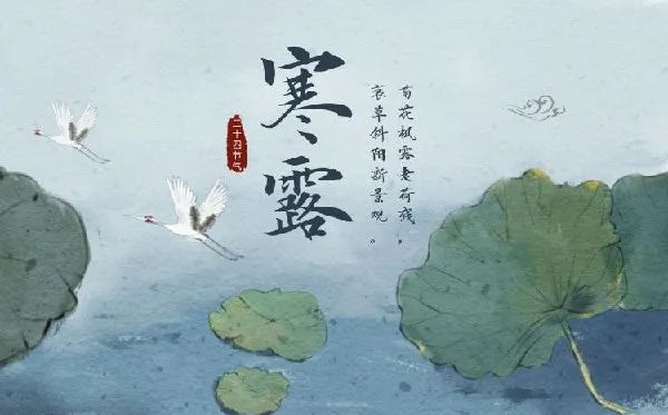 寒露節(jié)氣的含義是什么,寒露節(jié)氣的特點和風俗簡介