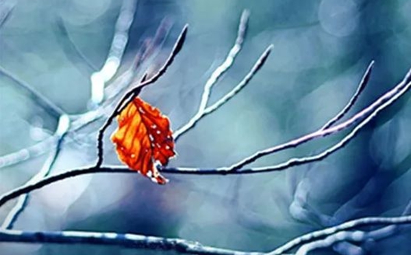 立冬節(jié)氣的含義是什么,立冬節(jié)氣的特點和風俗簡介