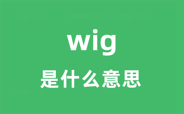 wig是什么意思