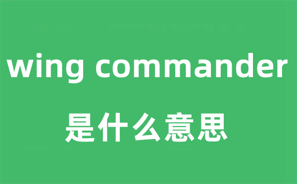 wing commander是什么意思