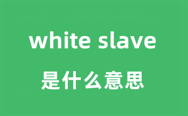 white slave是什么意思