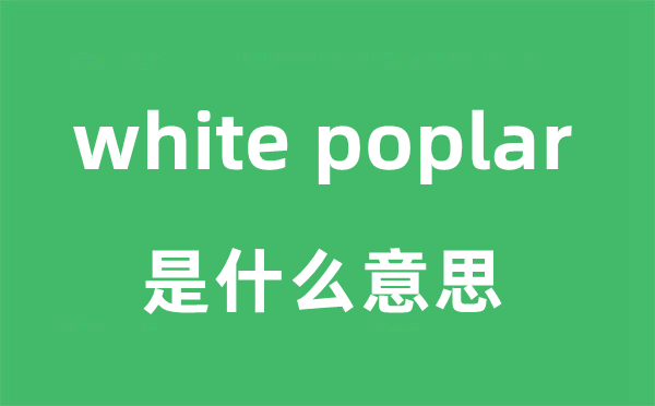 white poplar是什么意思