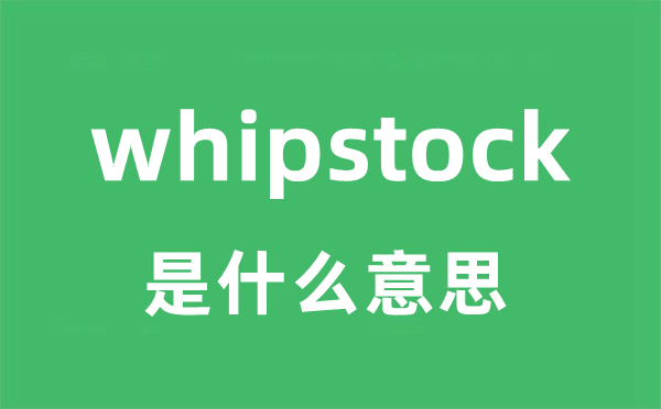 whipstock是什么意思