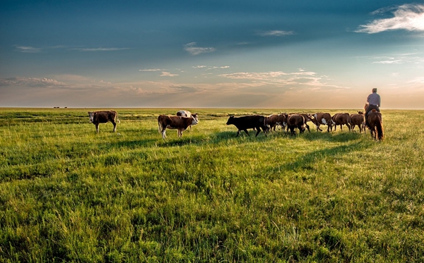 內(nèi)蒙古有哪些大學,內(nèi)蒙古所有大學名單一覽表