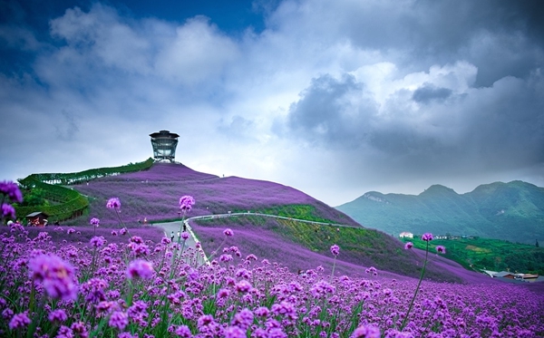 貴州有哪些大學(xué),貴州省所有大學(xué)名單一覽表