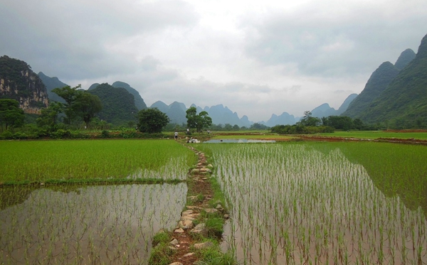 云南有哪些大學(xué),云南省所有大學(xué)名單一覽表