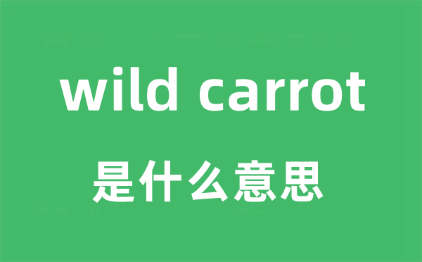 wild carrot是什么意思