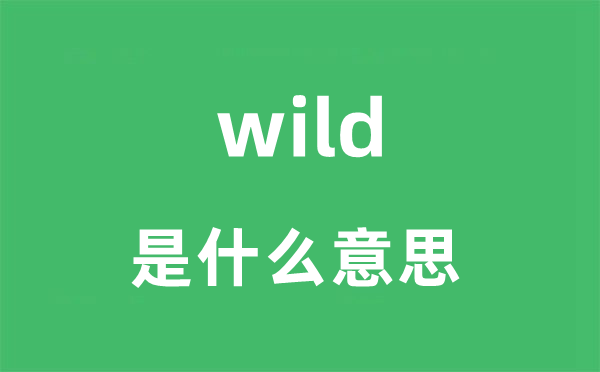 wild是什么意思