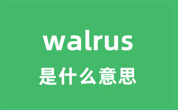 walrus是什么意思