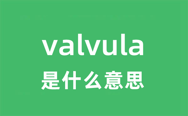 valvula是什么意思