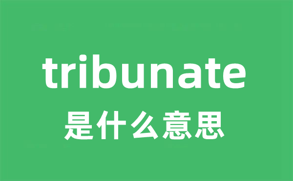 tribunate是什么意思
