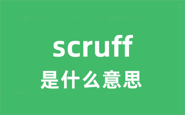 scruff是什么意思