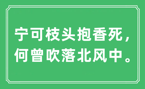 “寧可枝頭抱香死，何曾吹落北風(fēng)中。”是什么意思,出處及原文翻譯