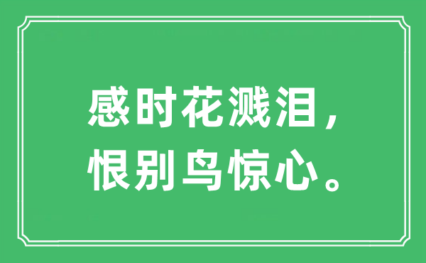 “感時(shí)花濺淚，恨別鳥(niǎo)驚心”是什么意思,出處及原文翻譯