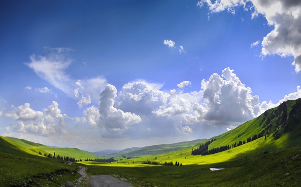 新疆540分能上什么大學(xué),高考540分可以報考哪些大學(xué)？