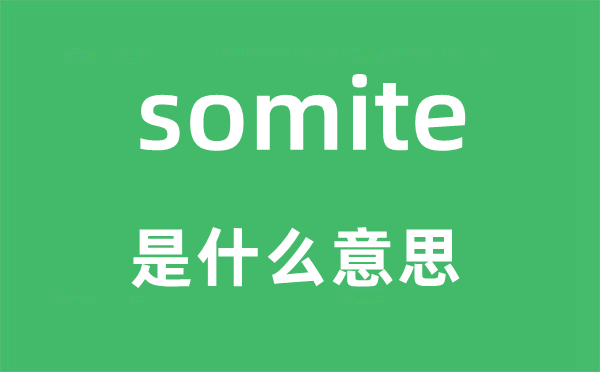 somite是什么意思,somite怎么讀,中文翻譯是什么