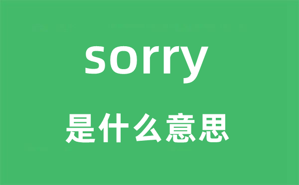 sorry是什么意思,sorry怎么讀,中文翻譯是什么