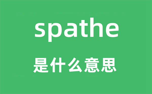spathe是什么意思,spathe怎么讀,中文翻譯是什么