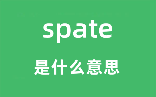 spate是什么意思,spate怎么讀,中文翻譯是什么