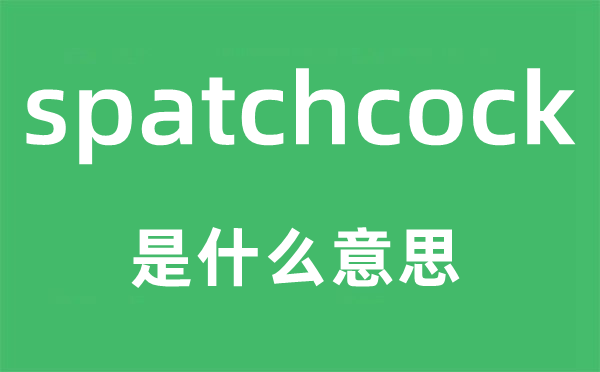 spatchcock是什么意思,spatchcock怎么讀,中文翻譯是什么