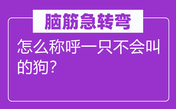 腦筋急轉彎：怎么稱呼一只不會叫的狗？