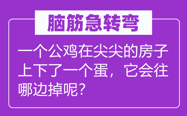 腦筋急轉(zhuǎn)彎：一個公雞在尖尖的房子上下了一個蛋，它會往哪邊掉呢？