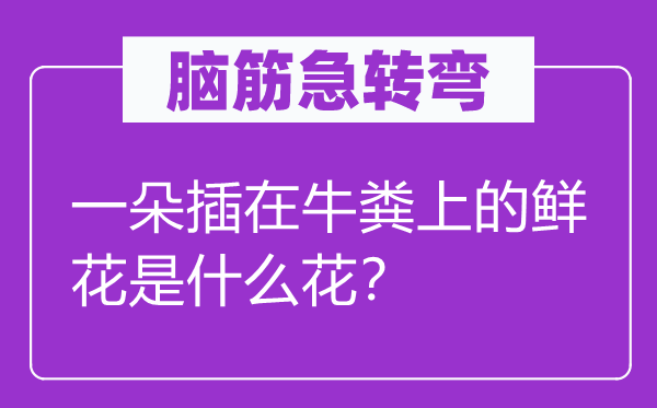 腦筋急轉(zhuǎn)彎：一朵插在牛糞上的鮮花是什么花？