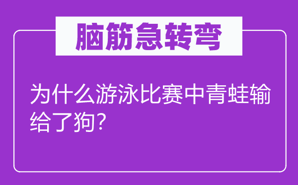腦筋急轉(zhuǎn)彎：為什么游泳比賽中青蛙輸給了狗？