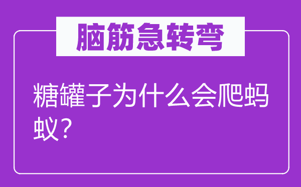 腦筋急轉(zhuǎn)彎：糖罐子為什么會(huì)爬螞蟻？