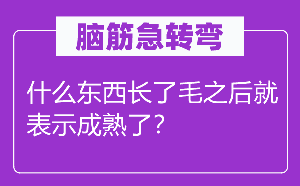 腦筋急轉(zhuǎn)彎：什么東西長(zhǎng)了毛之后就表示成熟了？