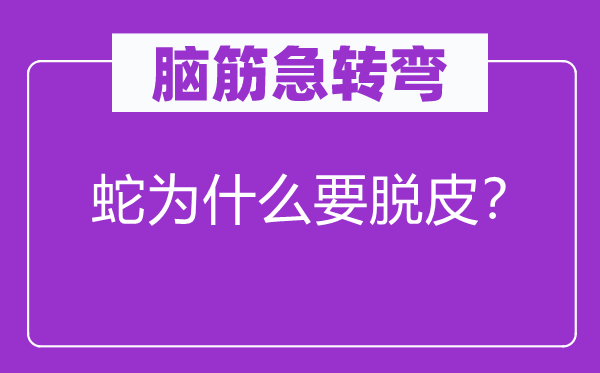 腦筋急轉(zhuǎn)彎：蛇為什么要脫皮？