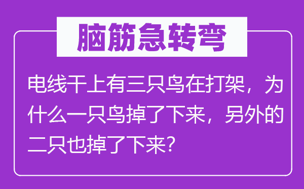 腦筋急轉(zhuǎn)彎：電線干上有三只鳥在打架，為什么一只鳥掉了下來，另外的二只也掉了下來？