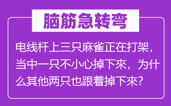 腦筋急轉(zhuǎn)彎：電線桿上三只麻雀正在打架，當(dāng)中一只不小心掉下來(lái)，為什么其他兩只也跟著掉下來(lái)？