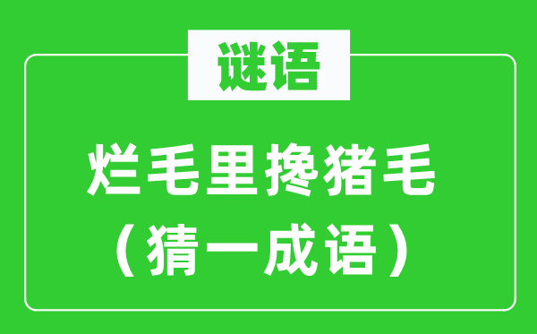 謎語：爛毛里攙豬毛（猜一成語）