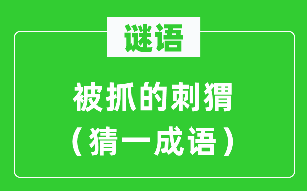 謎語:被抓的刺猬(猜一成語)