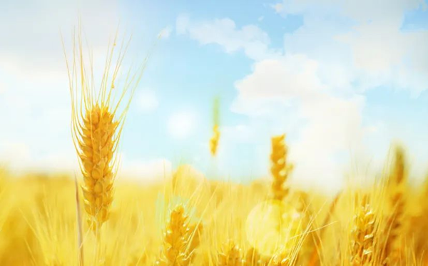 2024年中元節(jié)是幾月幾號(hào),中元節(jié)晚上能不能出門