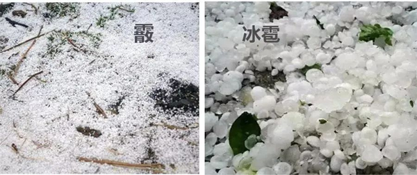 霰怎么讀,霰是什么天氣,霰和雪的區(qū)別