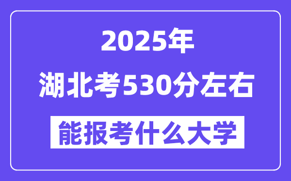 2025年湖北考530分左右能報(bào)考上什么大學(xué)?附位次排名對照表