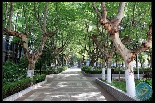 南京第十三中學(xué)簡介概況（建校歷史、地址、師資、校訓(xùn)、環(huán)境）