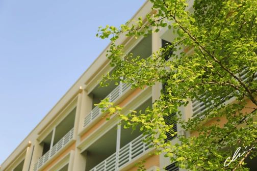 南京第五高級中學簡介概況（建校歷史、地址、師資、校訓、環(huán)境）