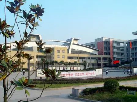 南京市雨花臺中學在南京的排名第幾,南外屬于什么檔次？