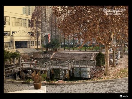 南京田家炳高級中學(xué)簡介概況（建校歷史、地址、師資、校訓(xùn)、環(huán)境）