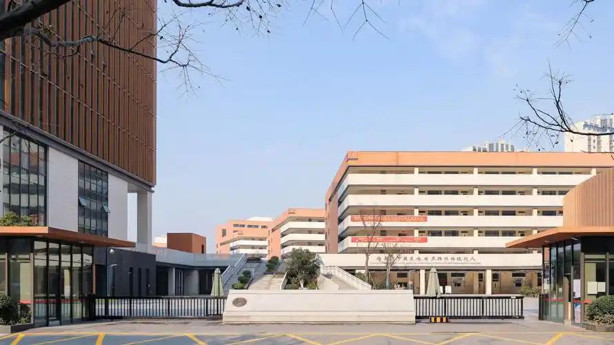 南京河西外國語學(xué)校在南京的排名第幾,南外屬于什么檔次？