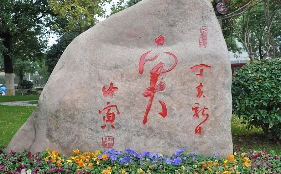 南京市臨江高級(jí)中學(xué)在南京的排名第幾,南外屬于什么檔次？