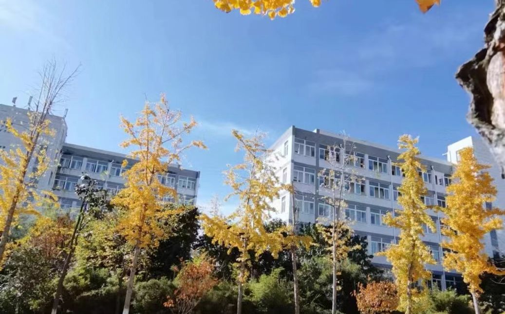 南京市六合實驗高級中學在南京的排名第幾,南外屬于什么檔次？