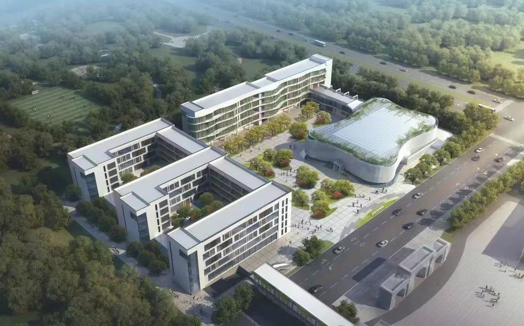 南京市高淳區(qū)湖濱高級中學(xué)在南京的排名第幾,南外屬于什么檔次？