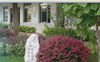 南京市文樞高級中學在南京的排名第幾,南外屬于什么檔次？