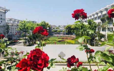 南京師范大學(xué)附屬實(shí)驗(yàn)學(xué)校是公立還是私立,是重點(diǎn)中學(xué)嗎？