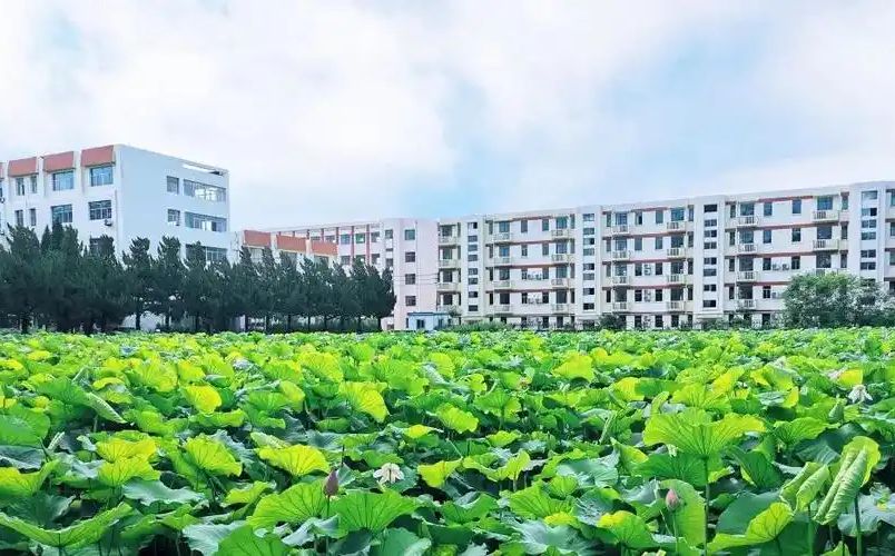 南京遠(yuǎn)景實(shí)驗(yàn)中學(xué)在南京的排名第幾,南外屬于什么檔次？